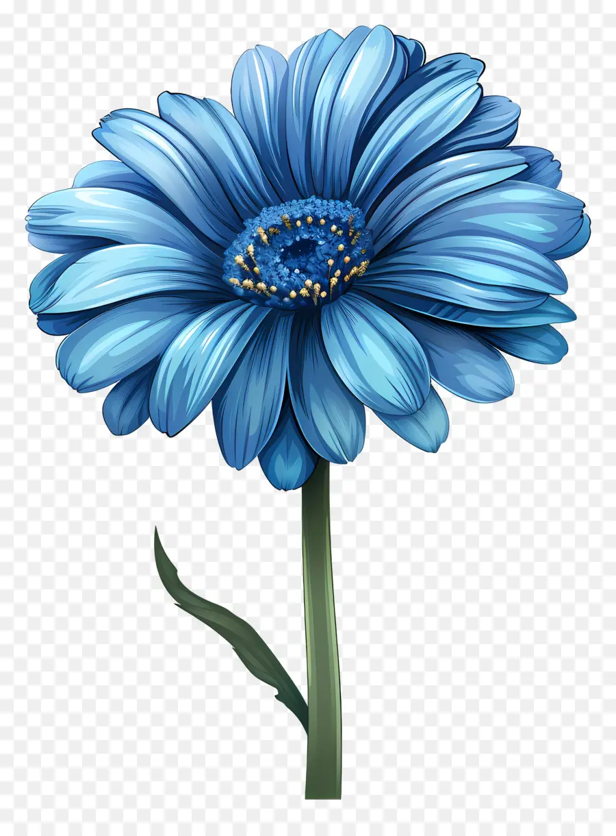 Gerbera Biru，Bunga Biru PNG