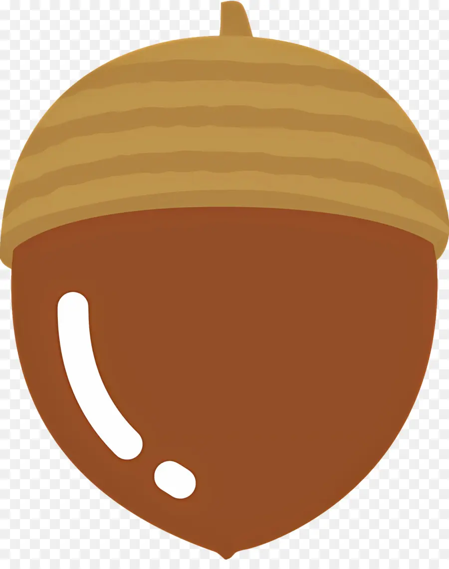 Acorn，Kacang PNG