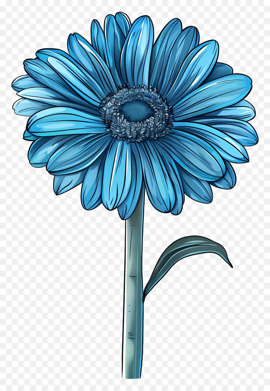 Gerbera Biru，Bunga Biru PNG