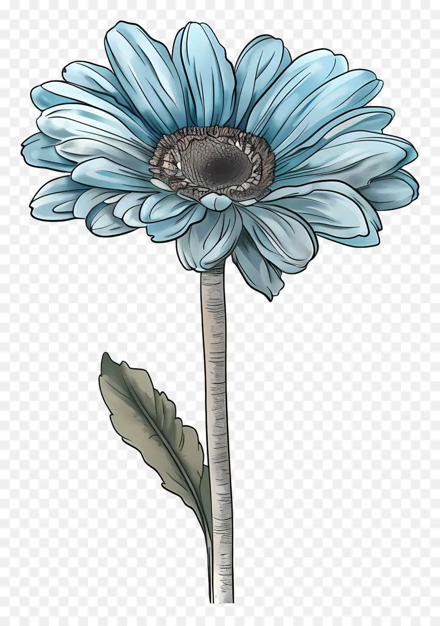 Gerbera Biru，Bunga Biru PNG