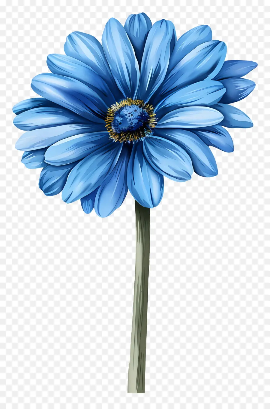 Gerbera Biru，Bunga Biru PNG