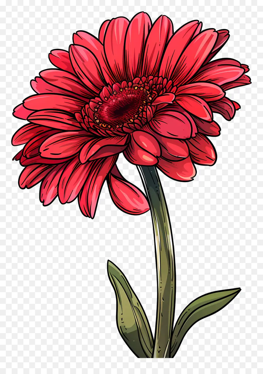 Gerbera Merah，Bunga Merah PNG