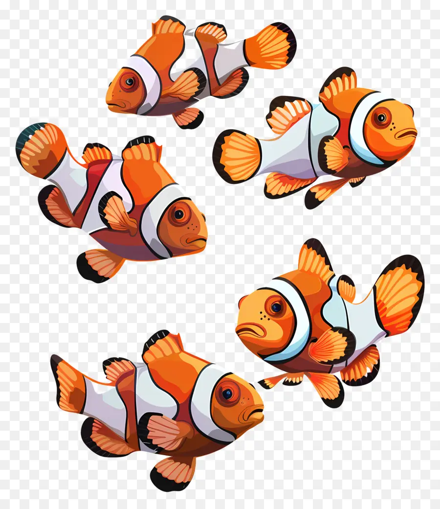 Clownfish，Laut PNG