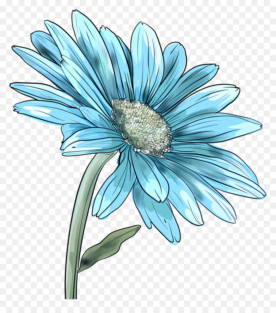 Gerbera Biru，Bunga Biru PNG