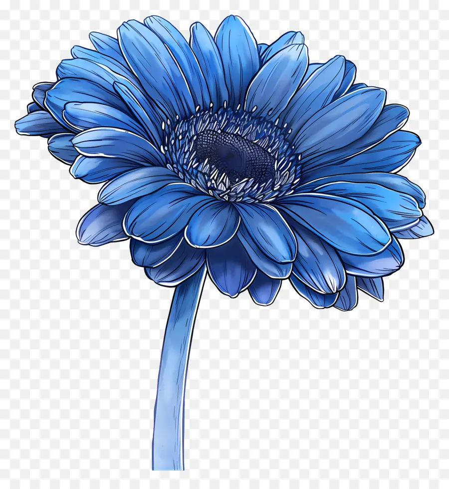 Gerbera Biru，Bunga Biru PNG