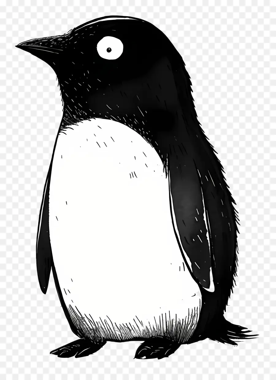 Penguin，Burung PNG