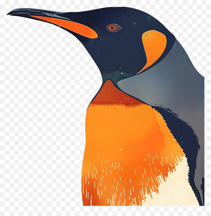 Penguin，Burung PNG