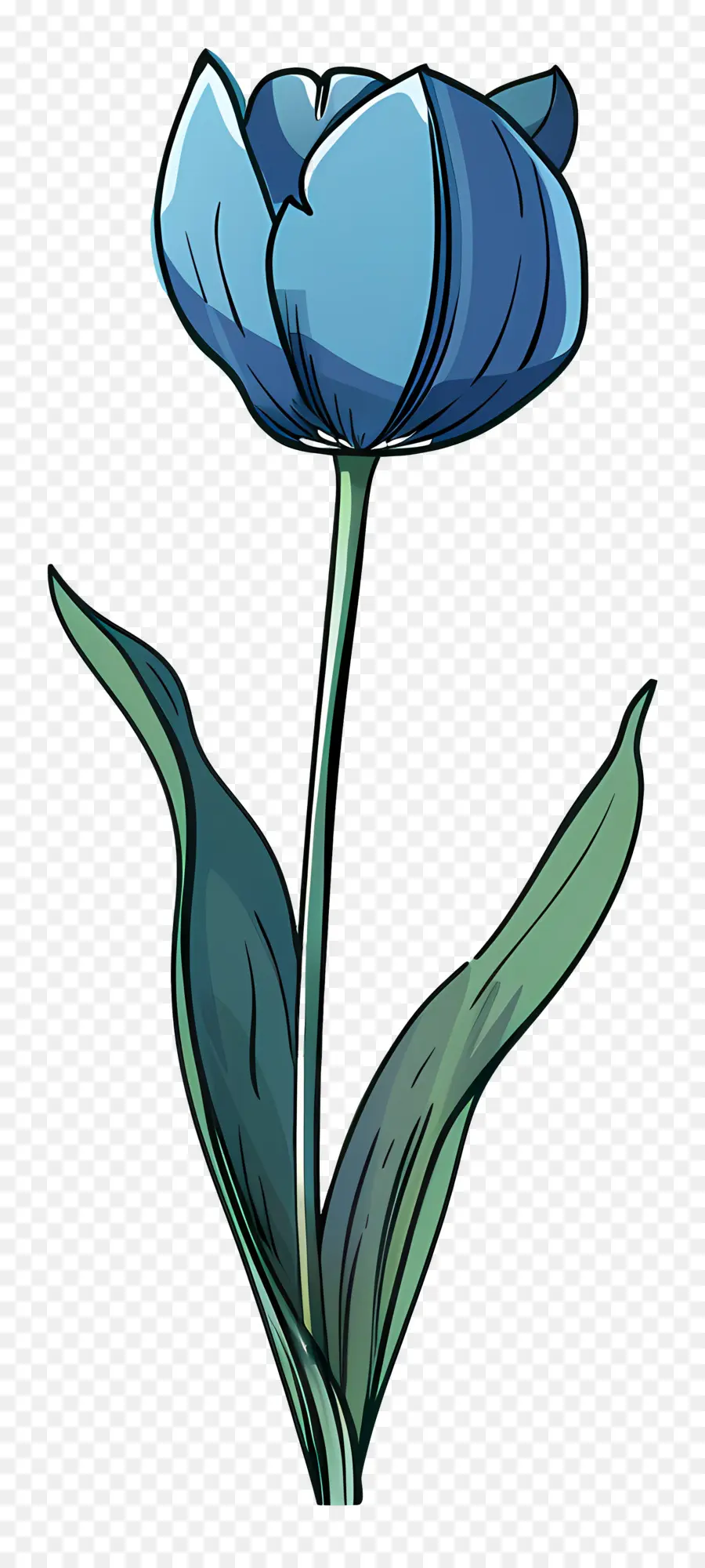 Bunga Tulip，Biru Tulip PNG