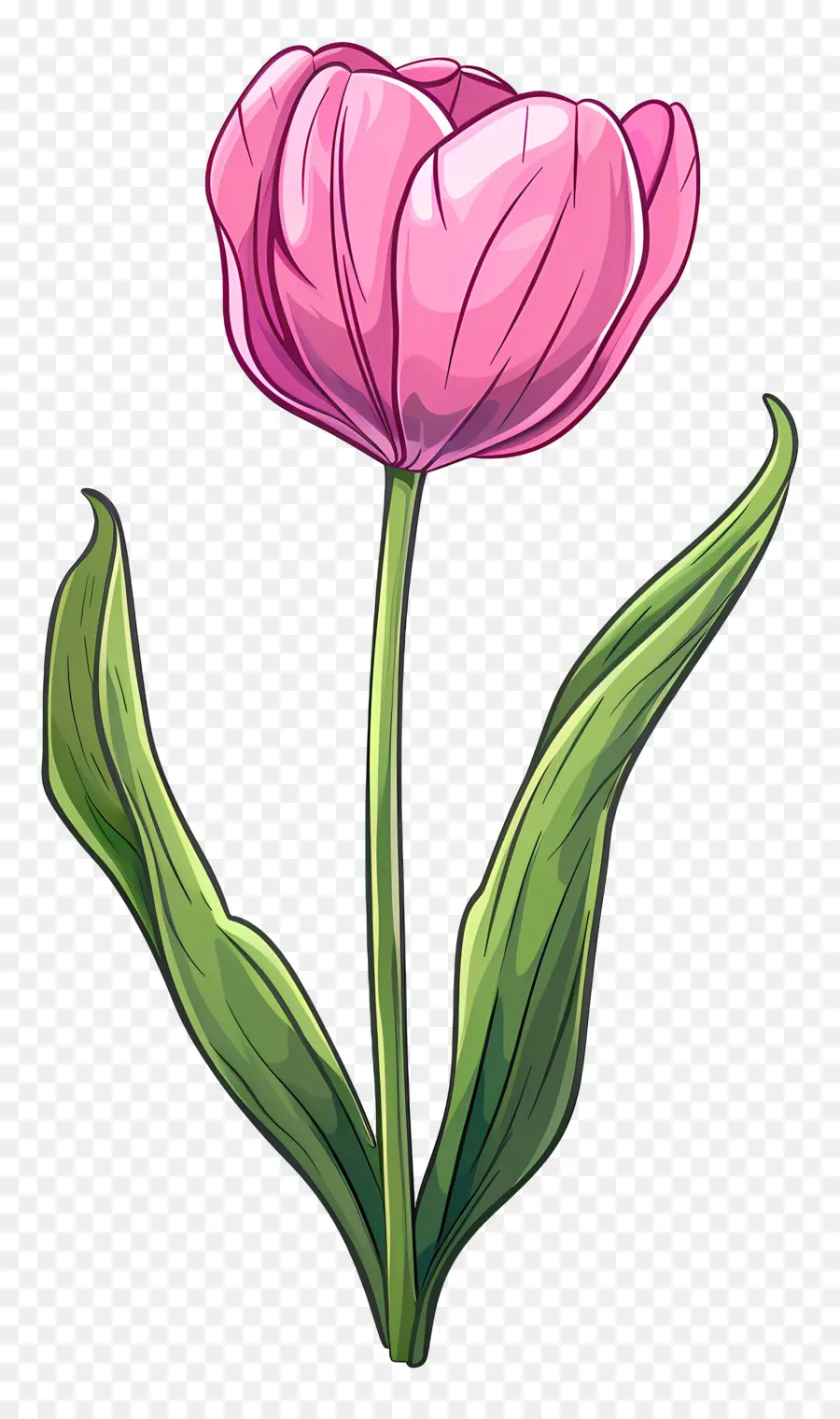 Bunga Tulip，Tulip Biru PNG