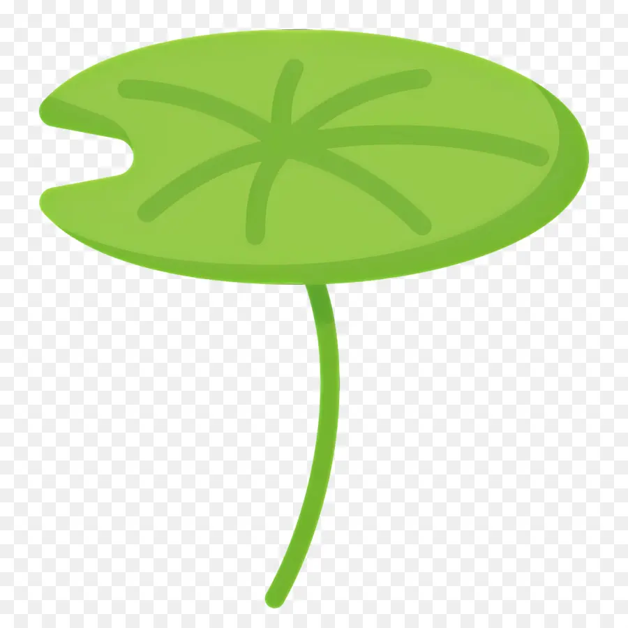 Daun Teratai，Lily Pad PNG