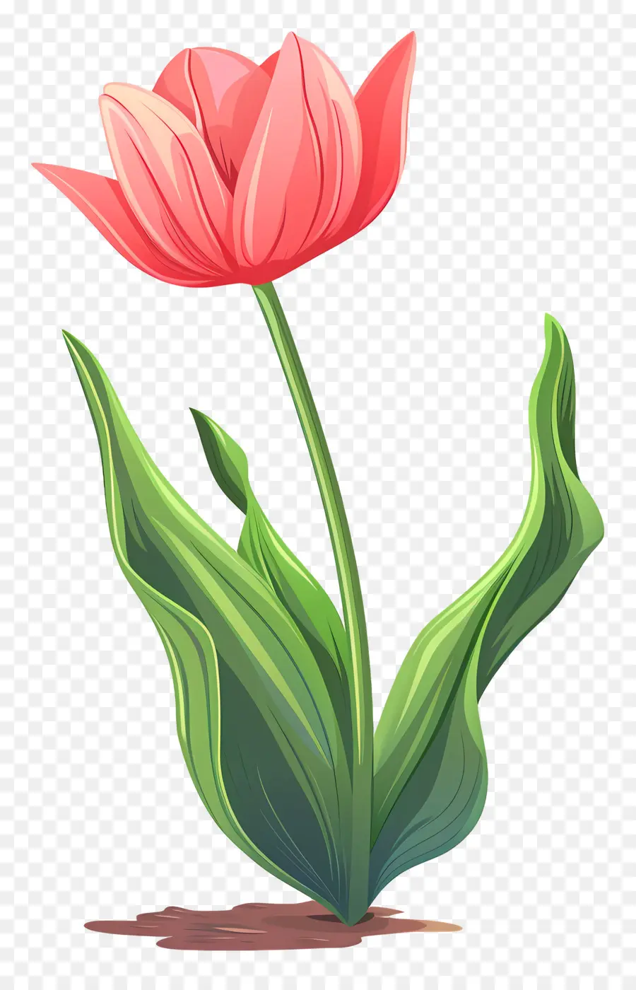 Bunga Tulip，Pink Tulip PNG