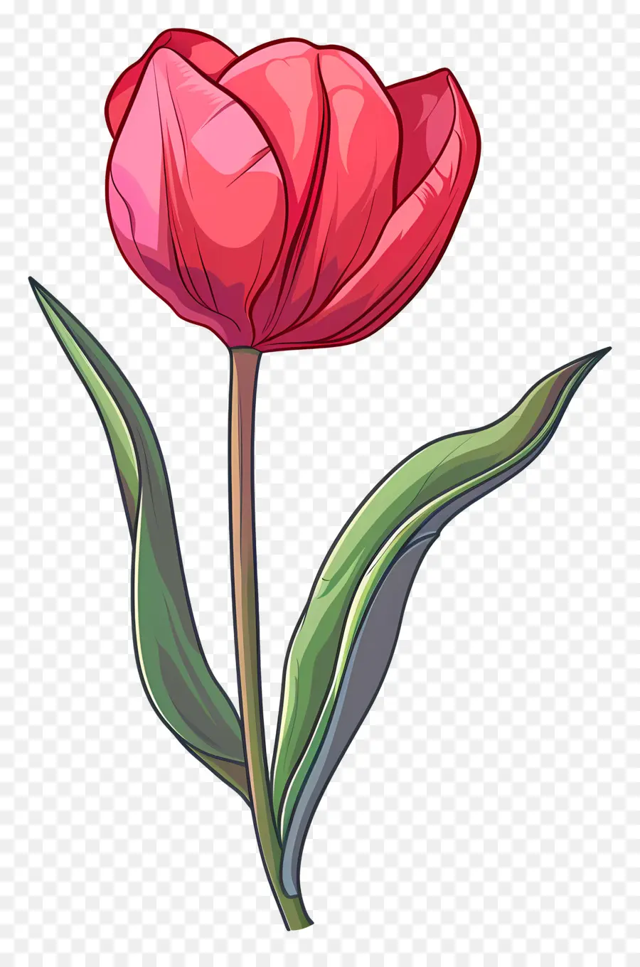 Bunga Tulip，Bunga Merah Muda PNG