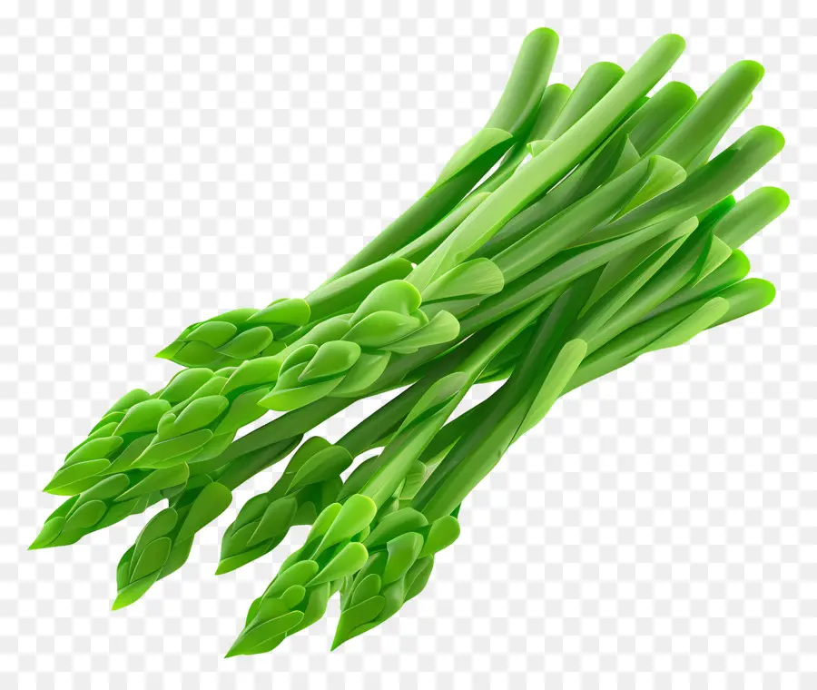 Asparagus Hijau，Asparagus PNG