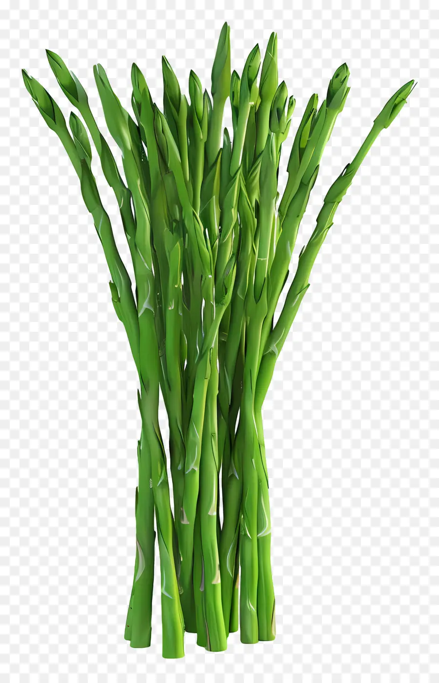 Asparagus Hijau，Asparagus PNG