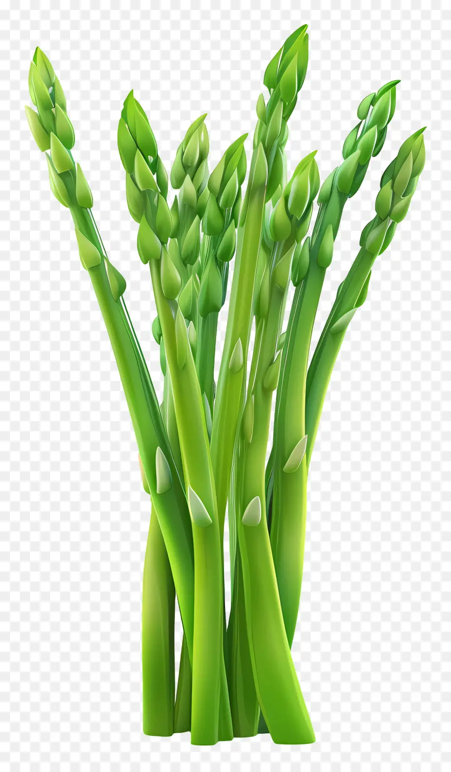 Asparagus Hijau，Asparagus PNG