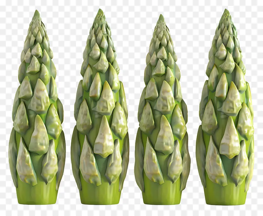 Asparagus Hijau，Asparagus PNG