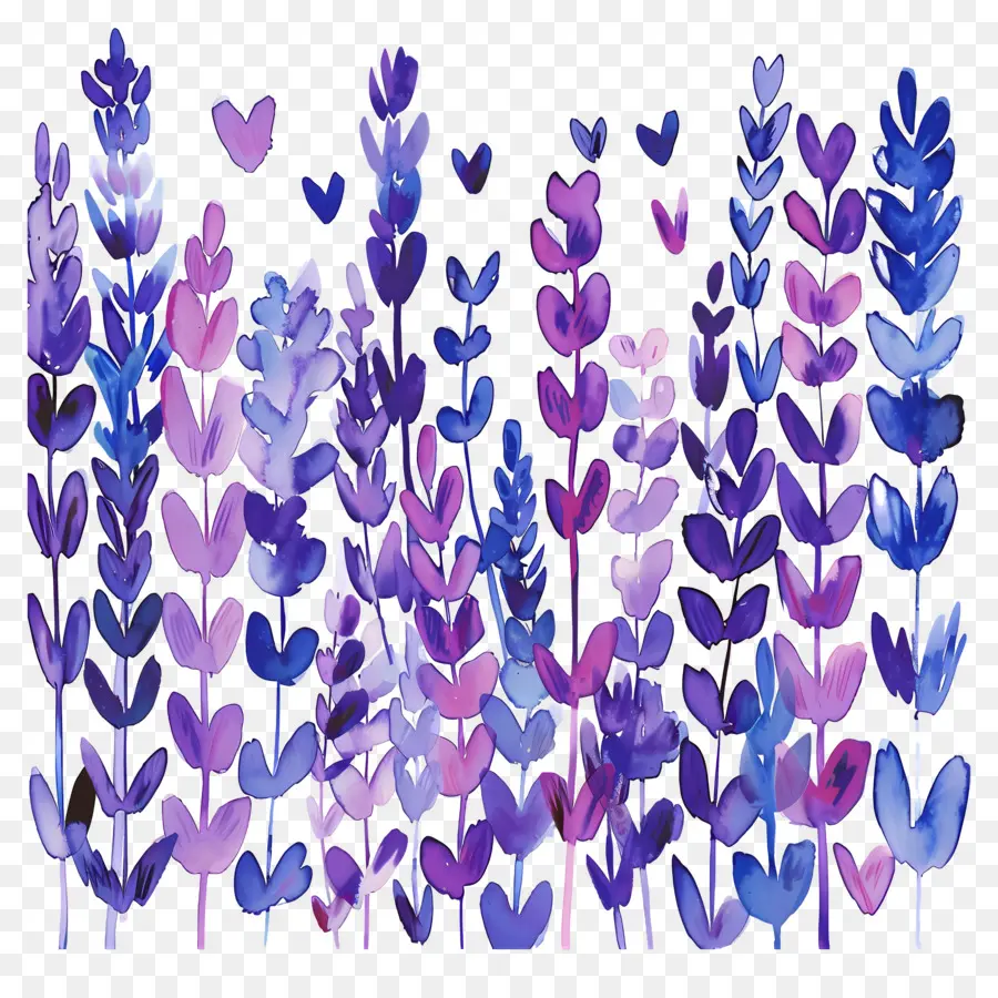 Bidang Lavender，Bunga Bunga Ungu PNG