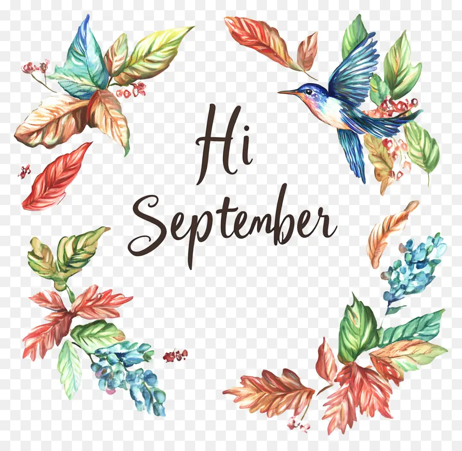 Hai September，Daun Daun PNG