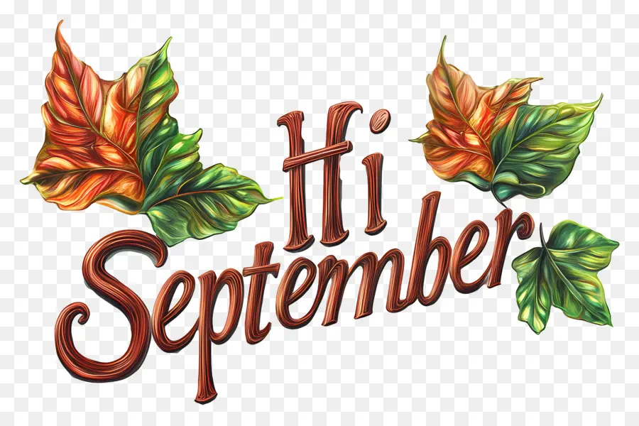 Hai September，Daun Daun PNG