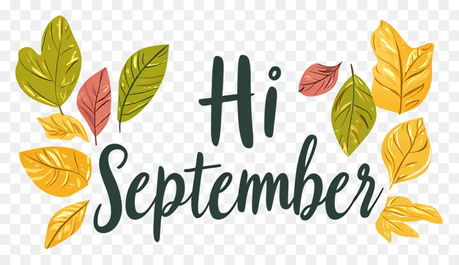 Hai September，September PNG