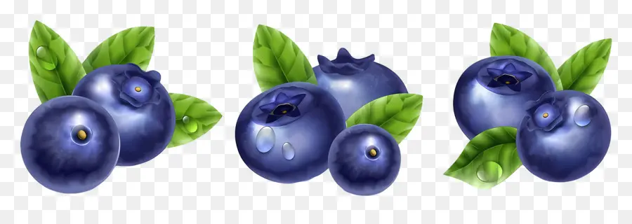 Buah Beri，Blueberry PNG