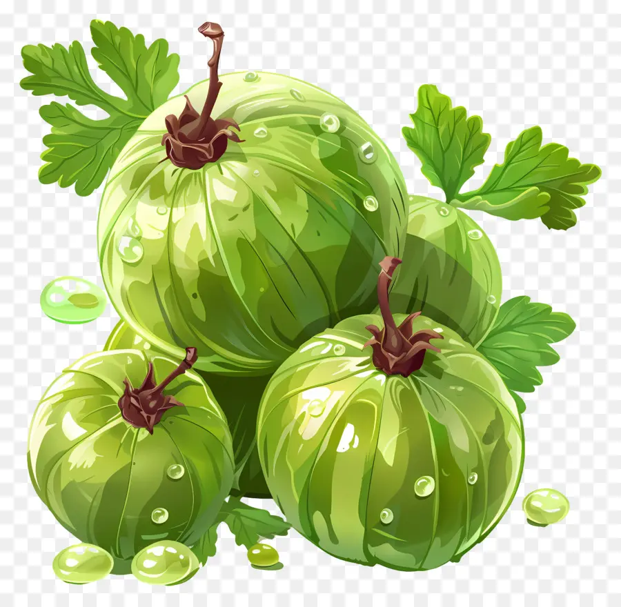 Buah Gooseberry，Gooseberry Hijau PNG