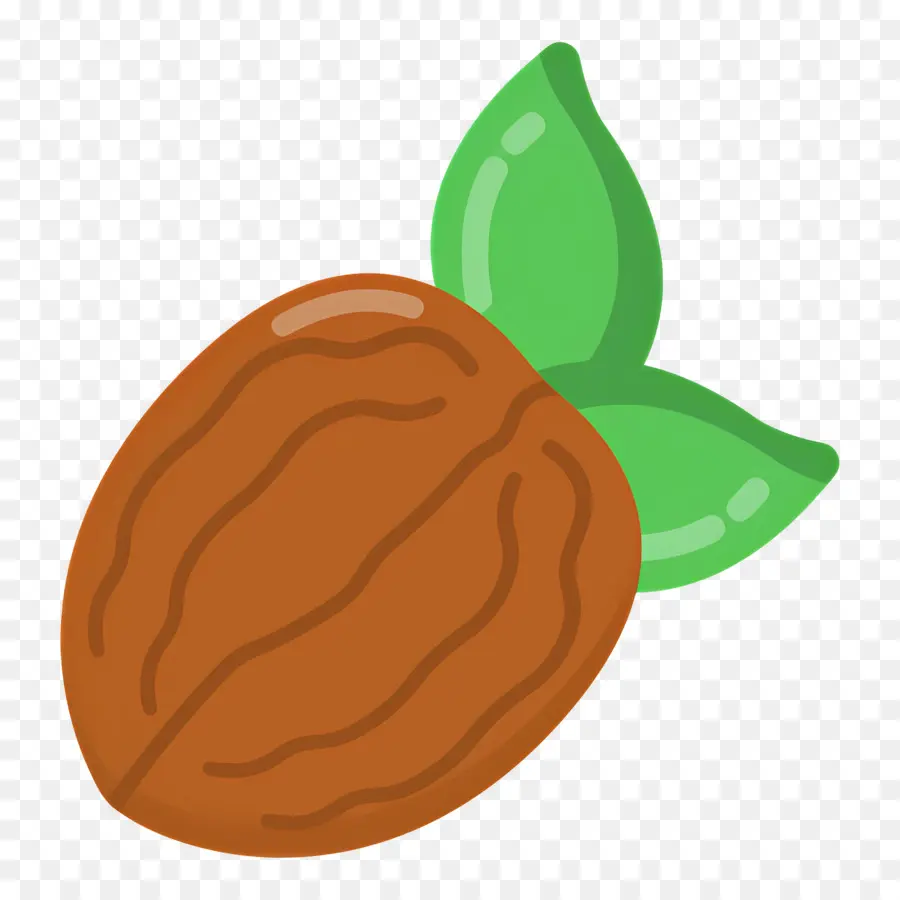 Kenari，Kacang PNG