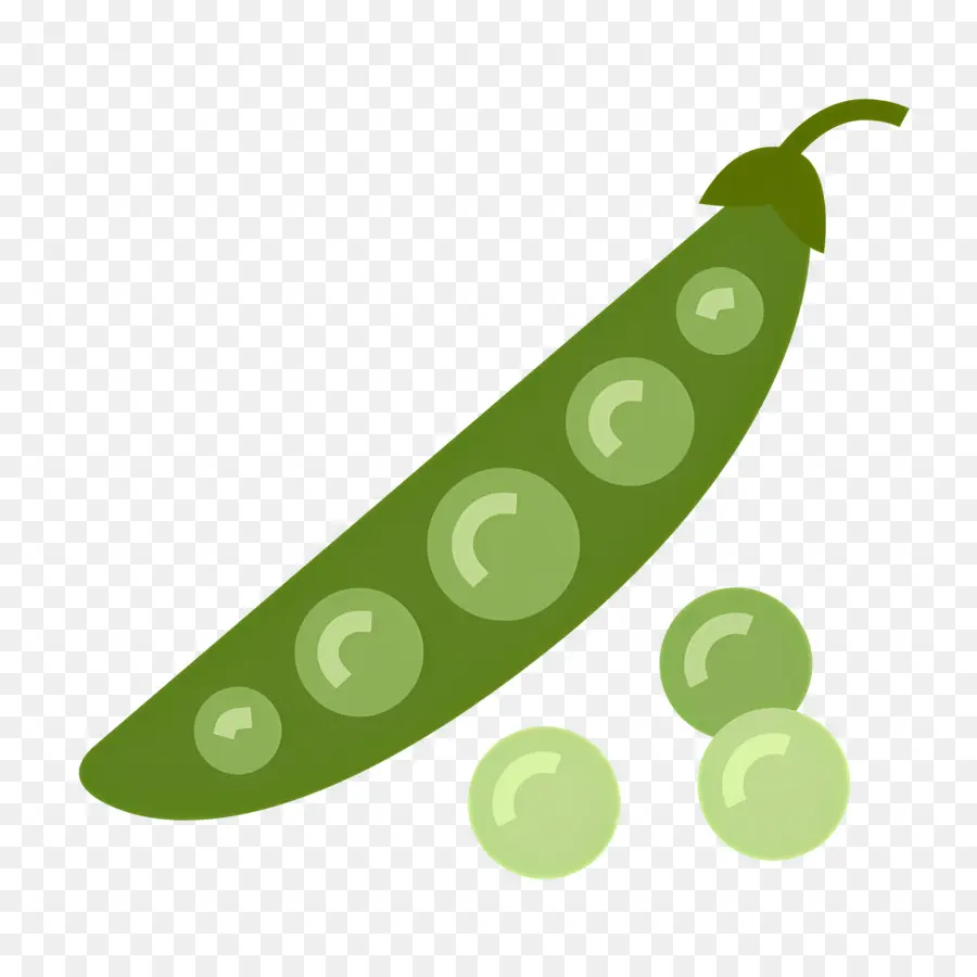 Kacang Hijau，Polong PNG