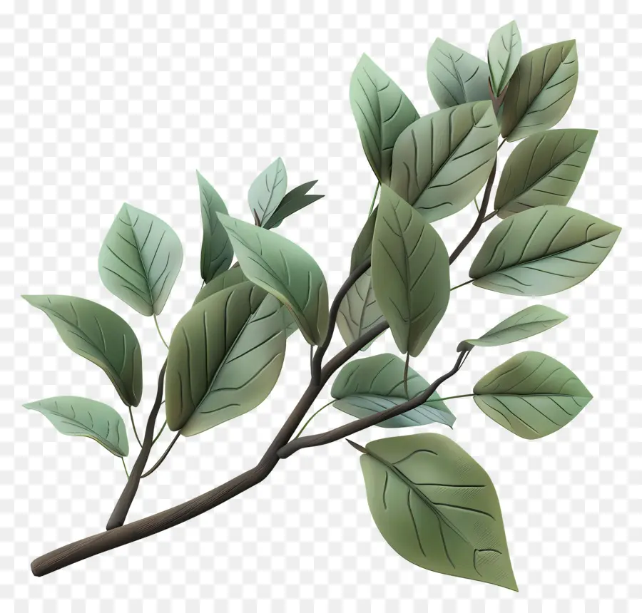 Daun Di Dahan，Cabang Dengan Daun PNG