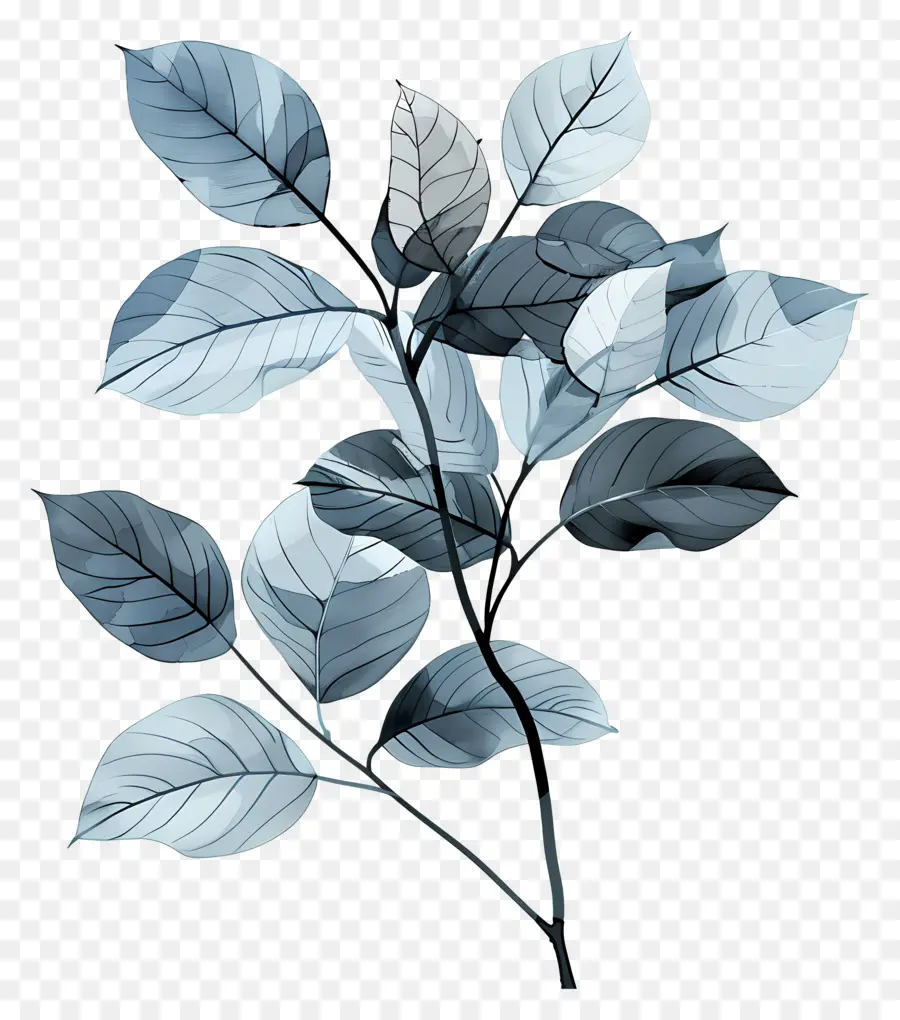 Daun Di Dahan，Daun Biru PNG