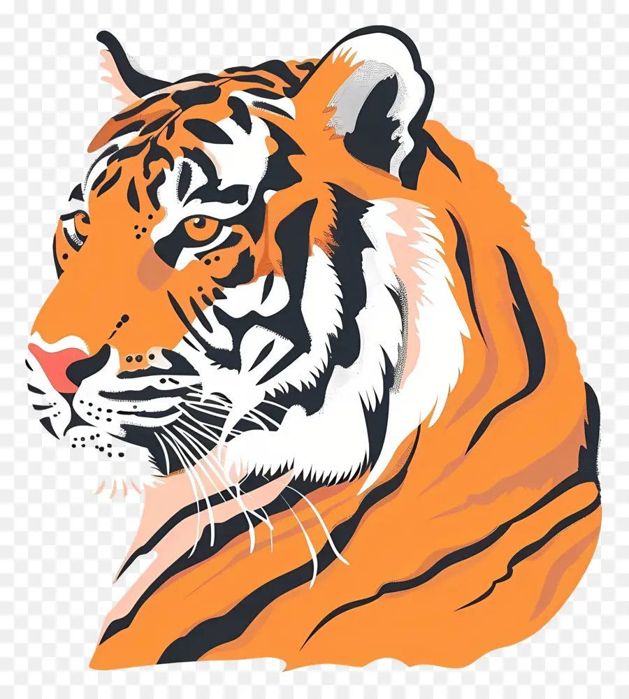 Harimau，Wajah Harimau PNG