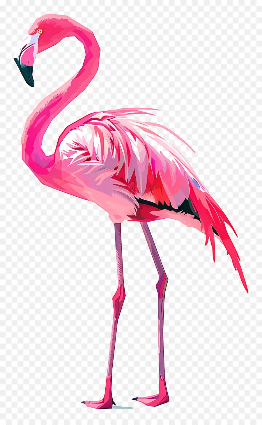 Flamingo，Flamingo Merah Muda PNG