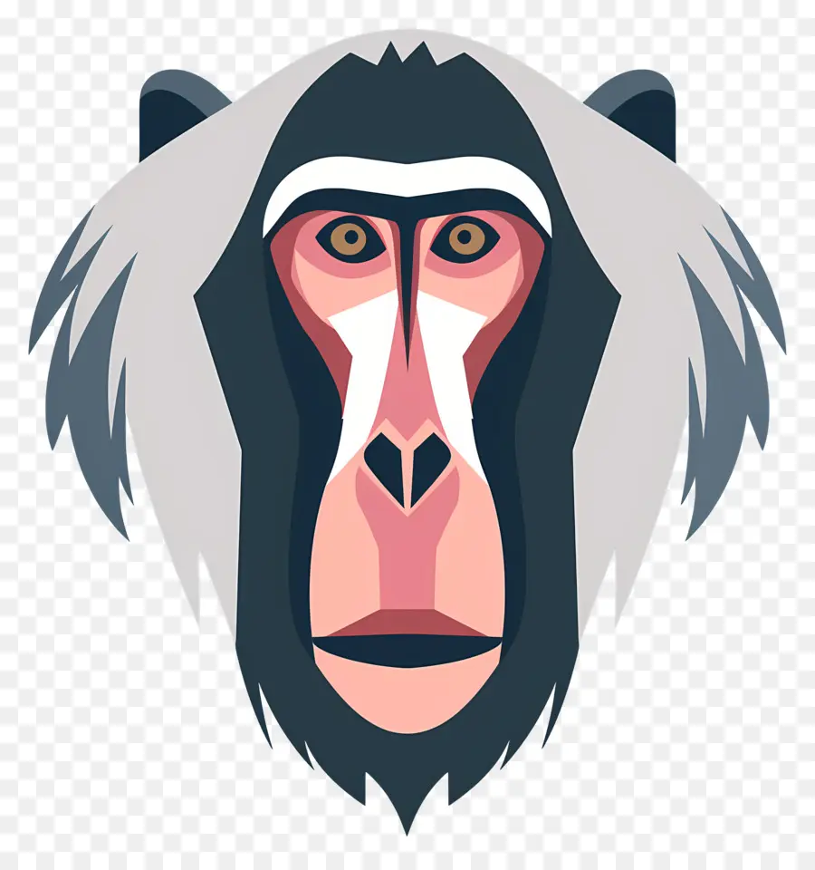 Wajah Babon，Mandrill PNG