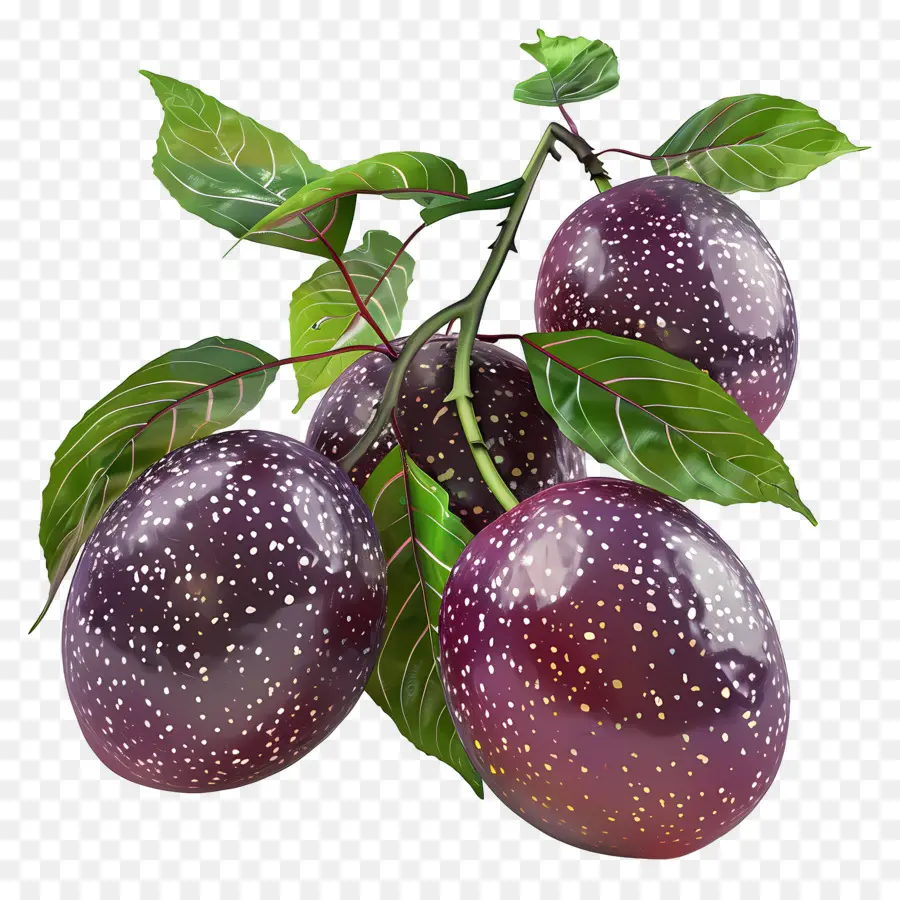 Buah Markisa，Buah Ungu PNG