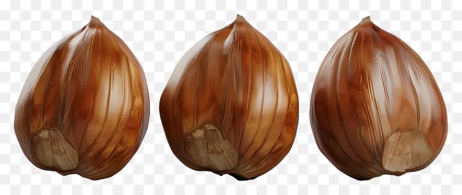 Kastanye，Kacang Hazel PNG