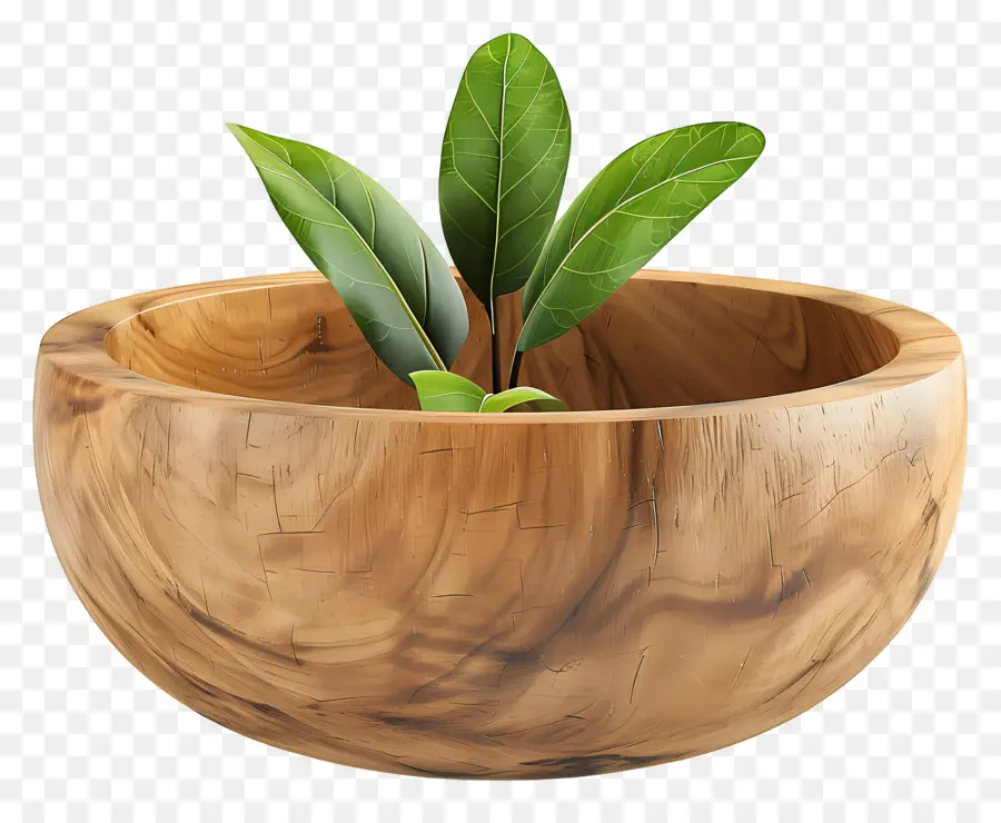 Mangkuk Kayu，Daun Daun PNG