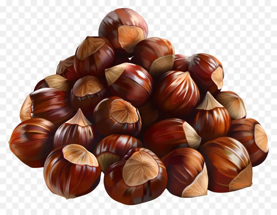 Kastanye，Kacang Hazel PNG