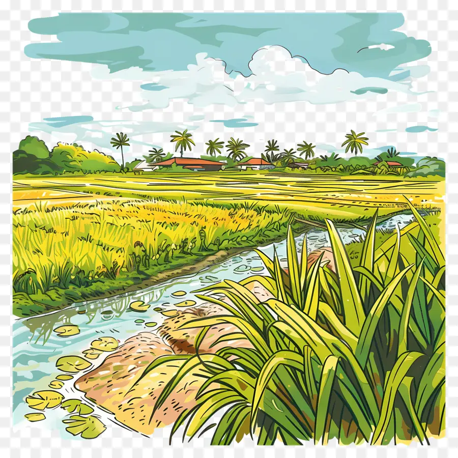 Sawah，Alam PNG