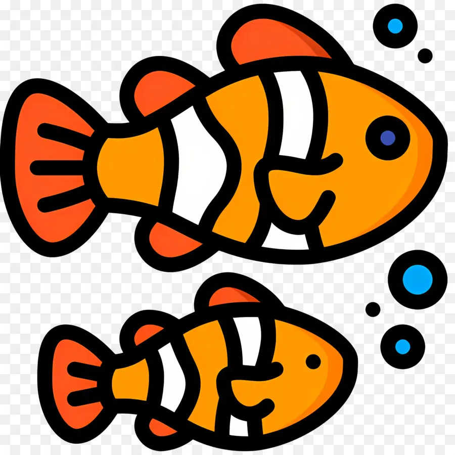 Ikan Badut，Ikan PNG