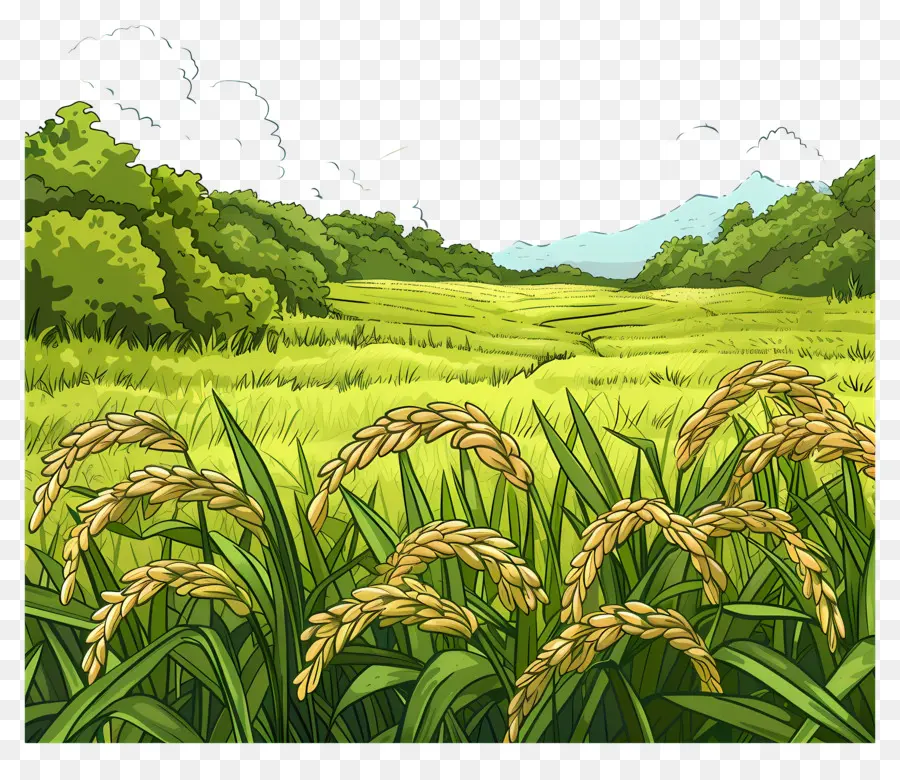 Sawah，Pertanian PNG