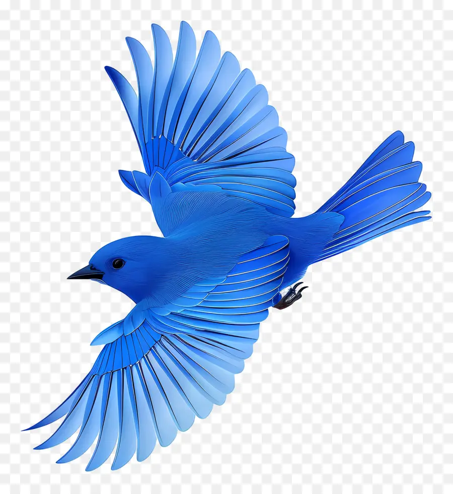 Blue Bird，Penerbangan PNG