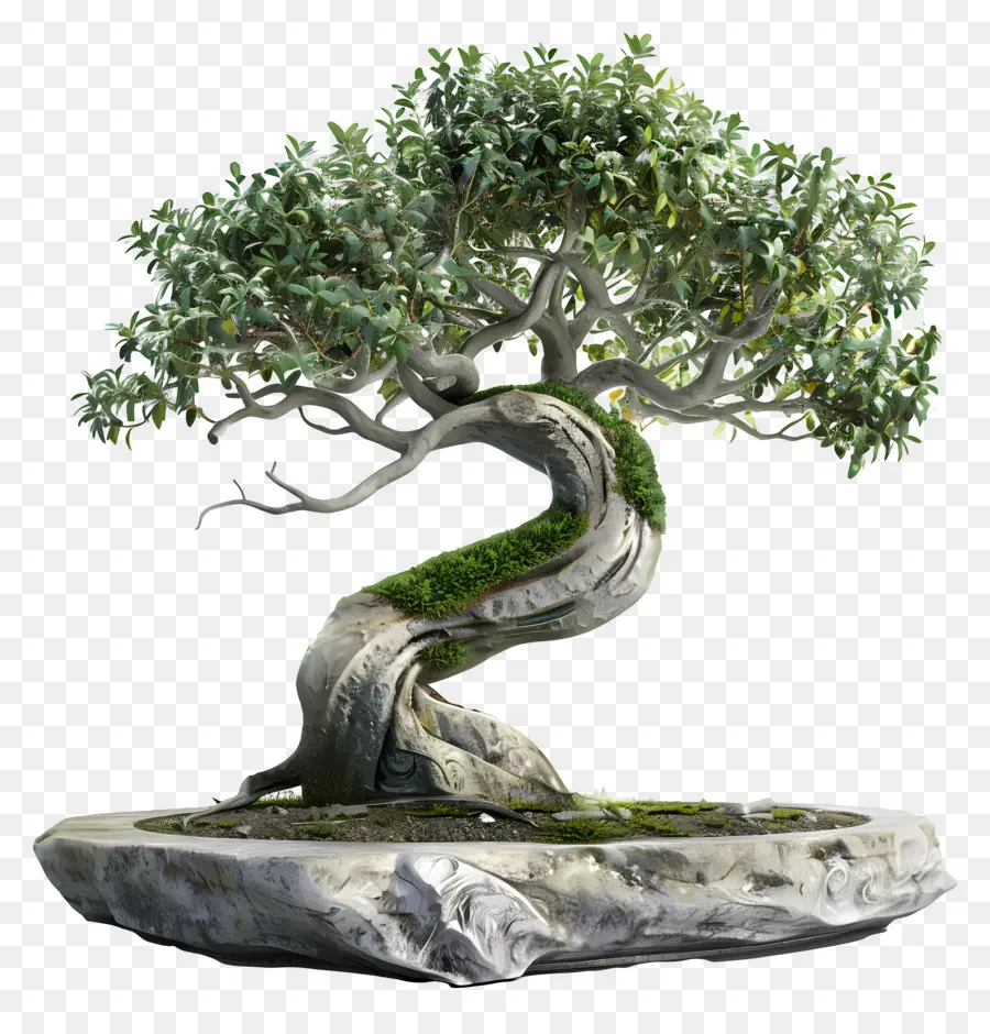 Pohon Bonsai，Miniatur PNG