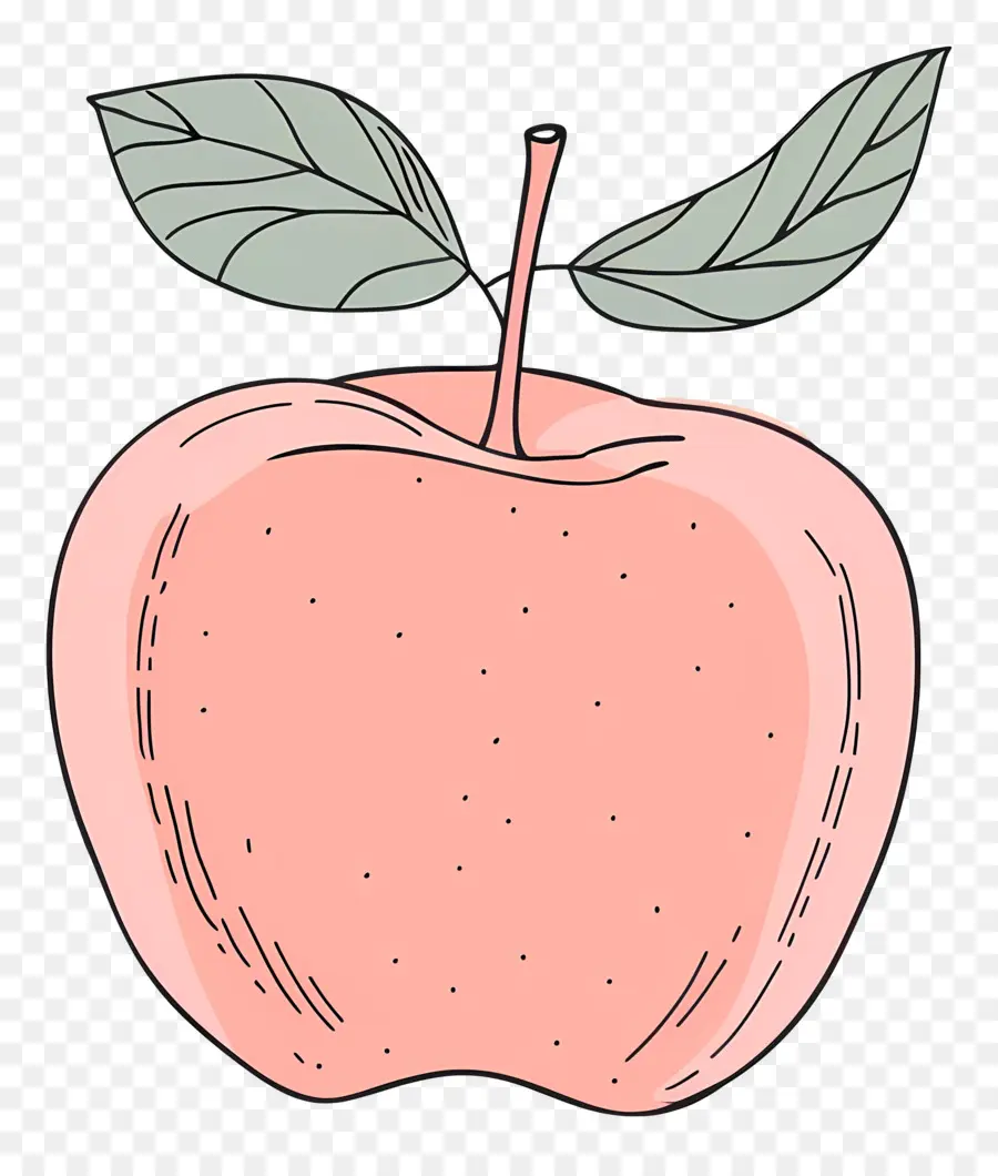 Garis Besar Apel，Garis Besar Apple PNG