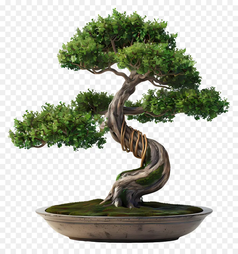 Pohon Bonsai，Miniatur PNG