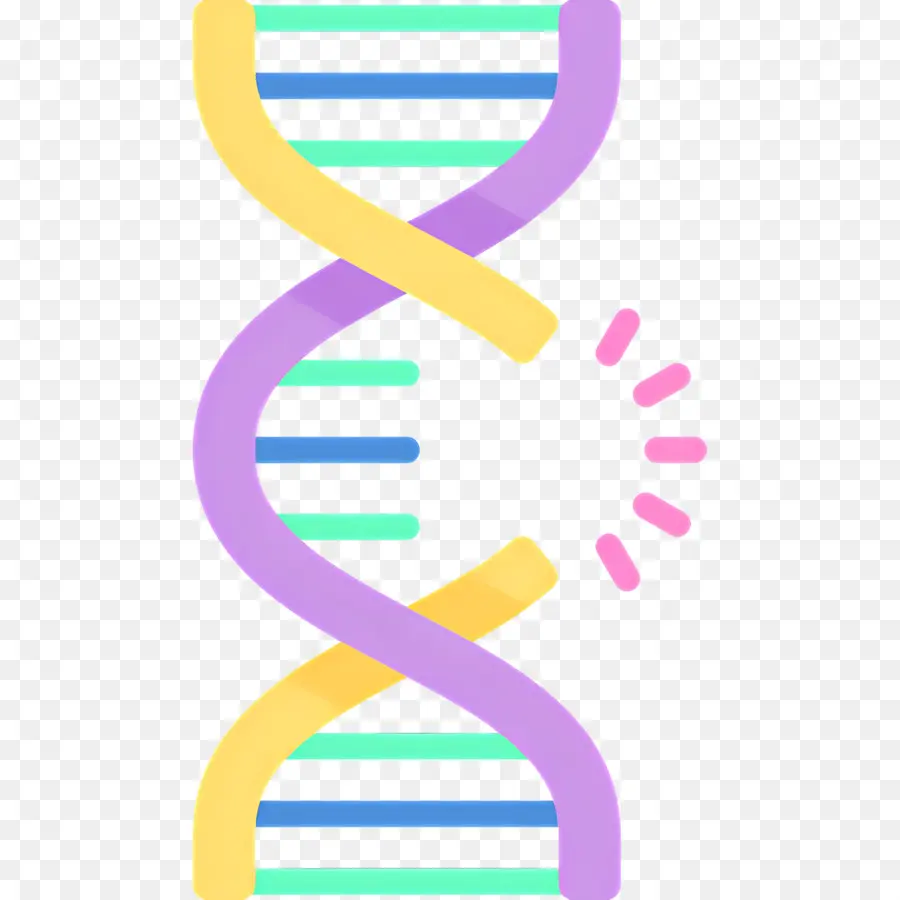 Mutasi Dna，Untai Dna PNG