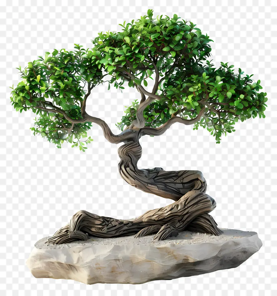 Pohon Bonsai，Miniatur PNG