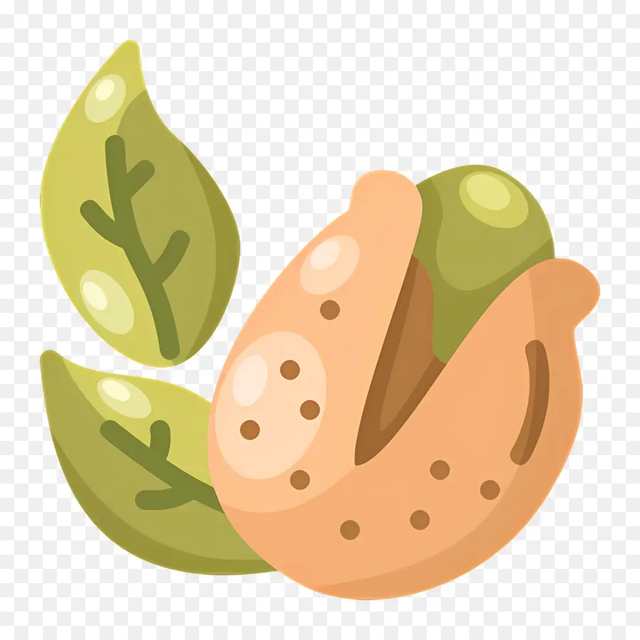 Pistachio，Kacang PNG