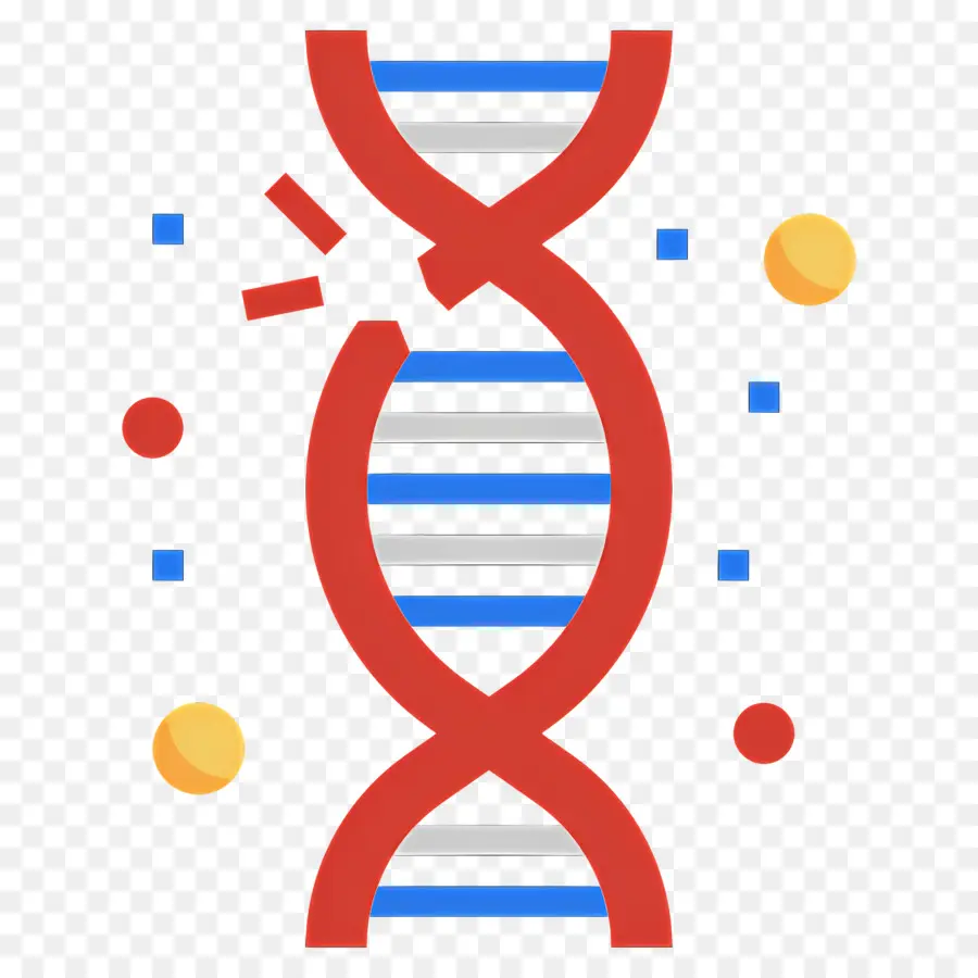 Mutasi Dna，Dna PNG