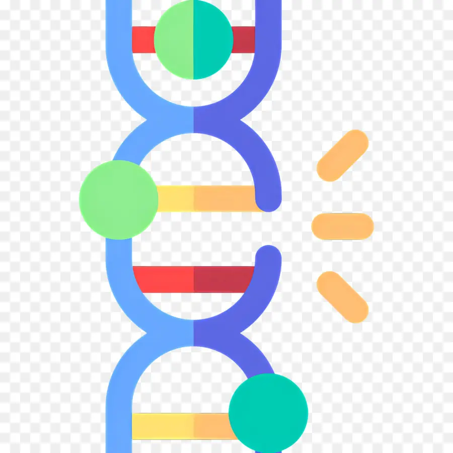 Mutasi Dna，Untai Dna PNG