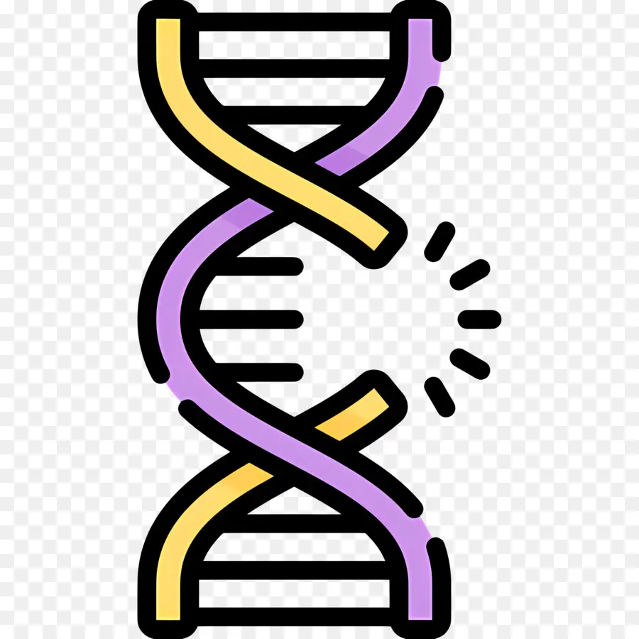 Mutasi Dna，Dna PNG